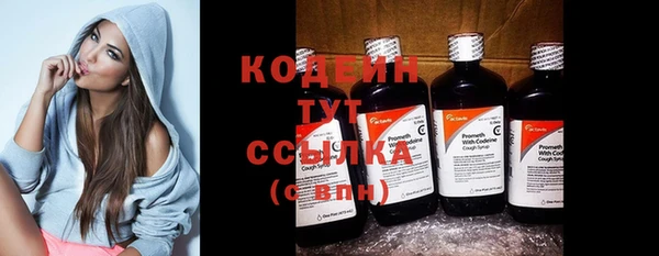 ПСИЛОЦИБИНОВЫЕ ГРИБЫ Козловка