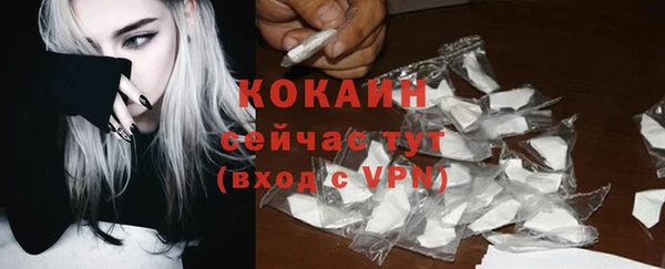 ALPHA PVP Кодинск