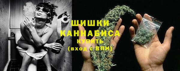 ПСИЛОЦИБИНОВЫЕ ГРИБЫ Козловка