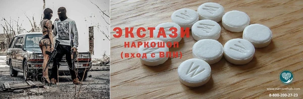 ПСИЛОЦИБИНОВЫЕ ГРИБЫ Козловка